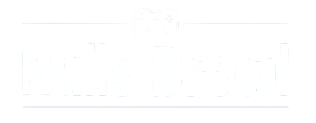 Nulls Brawl APK